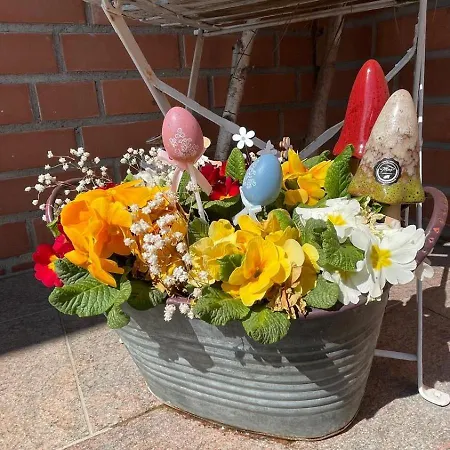 Urlaub An Der Müritz